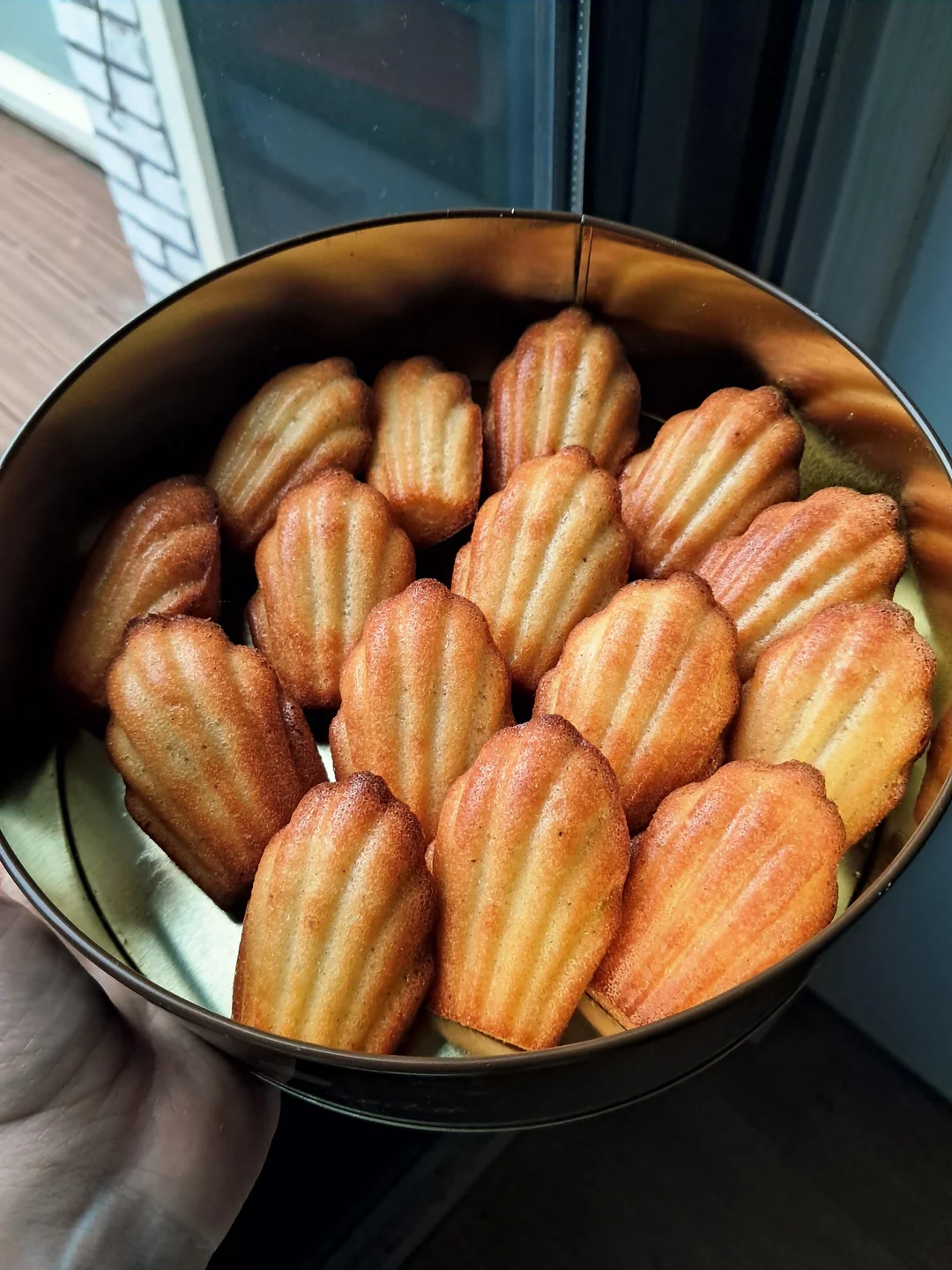 A hand holds a round tin filled with golden-brown madeleines, small shell-shaped sponge cakes, near a window.