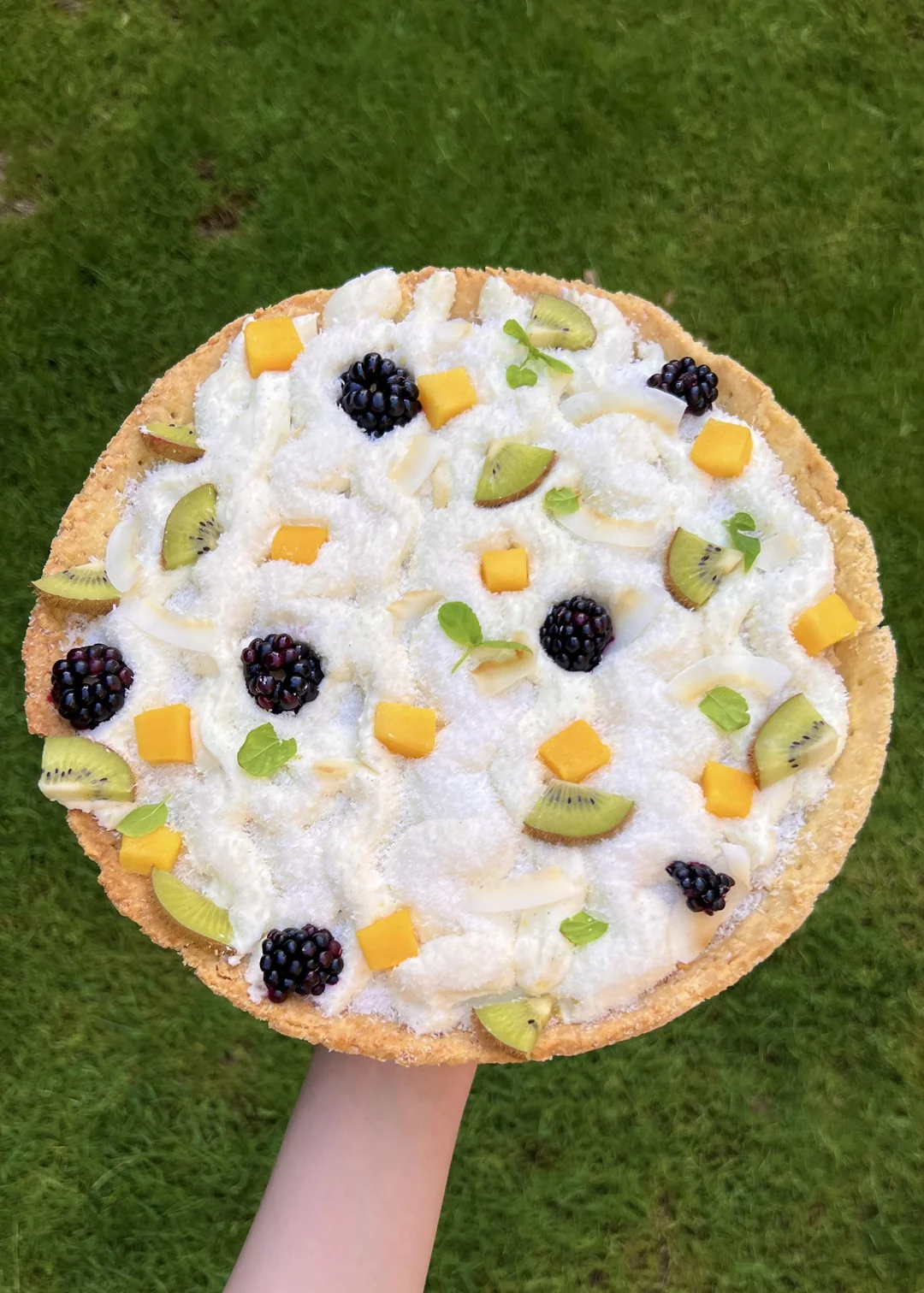 A hand holds a fruit tart topped with whipped cream, blackberries, kiwi slices, small mango cubes, and mint leaves, against a blurred green grassy background.