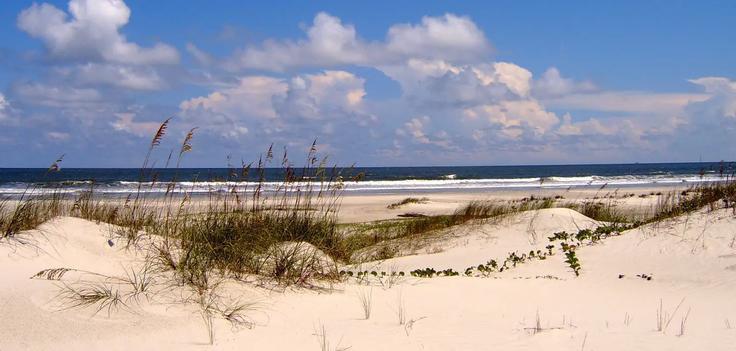 White sand dunes with sparse grass and plants in the foreground, gentle ocean waves in the distance, and a blue sky with scattered clouds above.