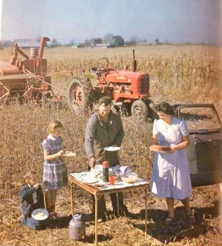 A family of four enjoys a meal at a small table in a field near a red tractor and car, with farmland and a house in the background on a sunny day, capturing the warmth of nostalgic dinners shared together in the countryside.