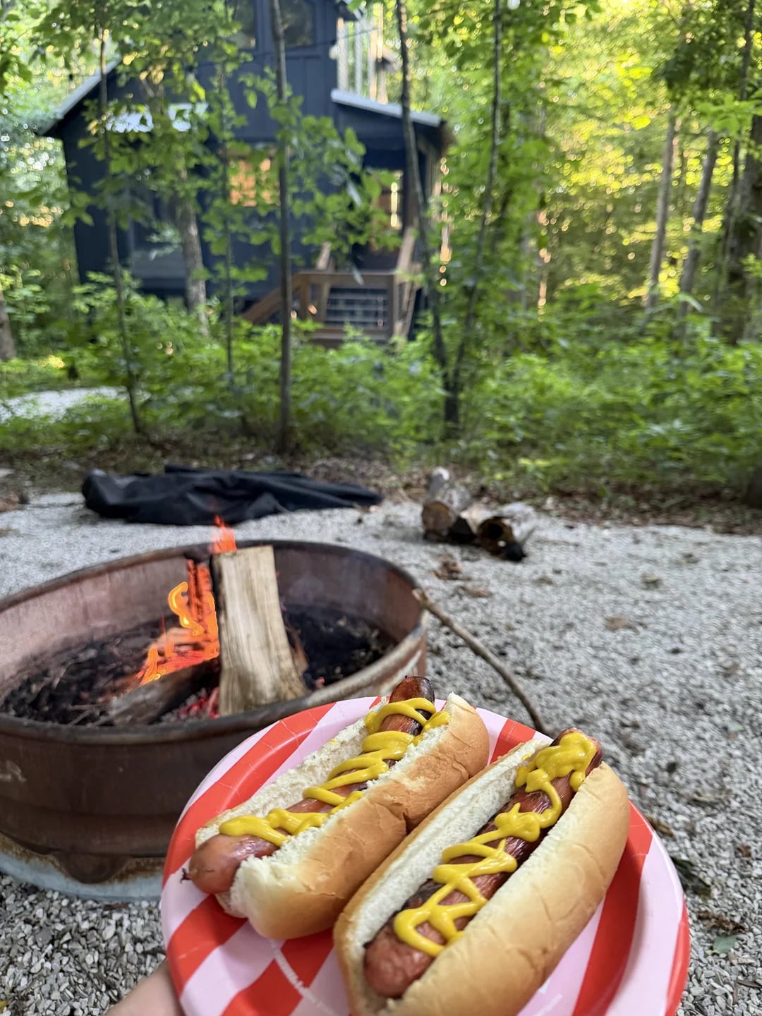 A person holds a plate with two mustard-topped hot dogs near a fire pit at a forest campsite, with a modern cabin surrounded by trees in the background.