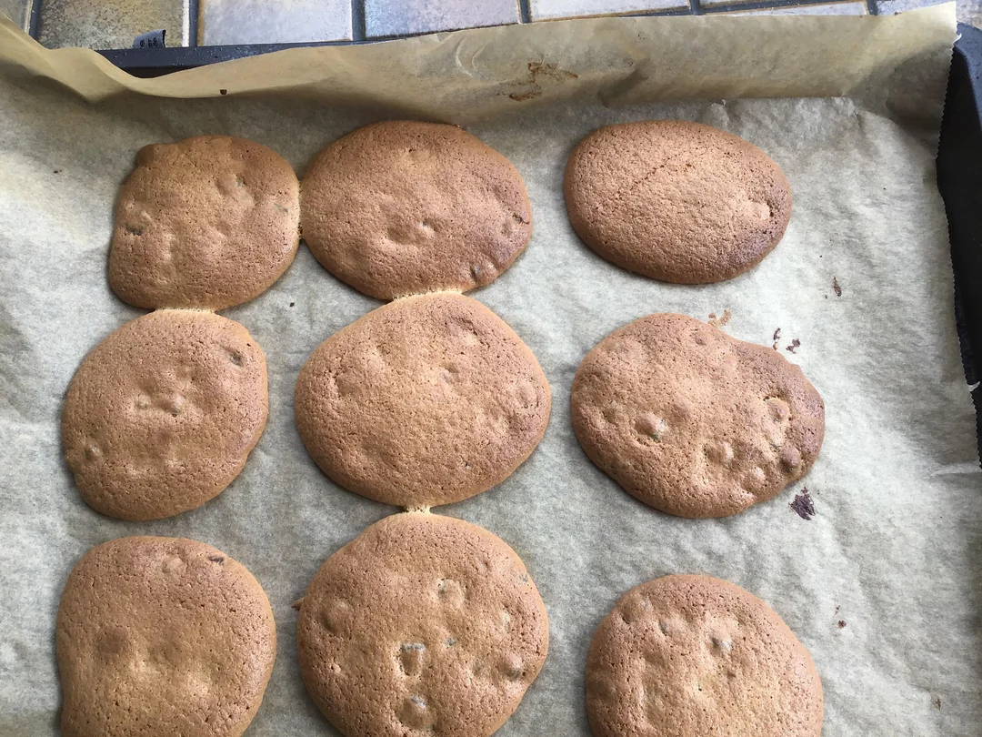 Nine brown cookies on a baking sheet lined with parchment paper, fresh out of the oven. The cookies are slightly irregular in shape and have a few small bumps on their surface.