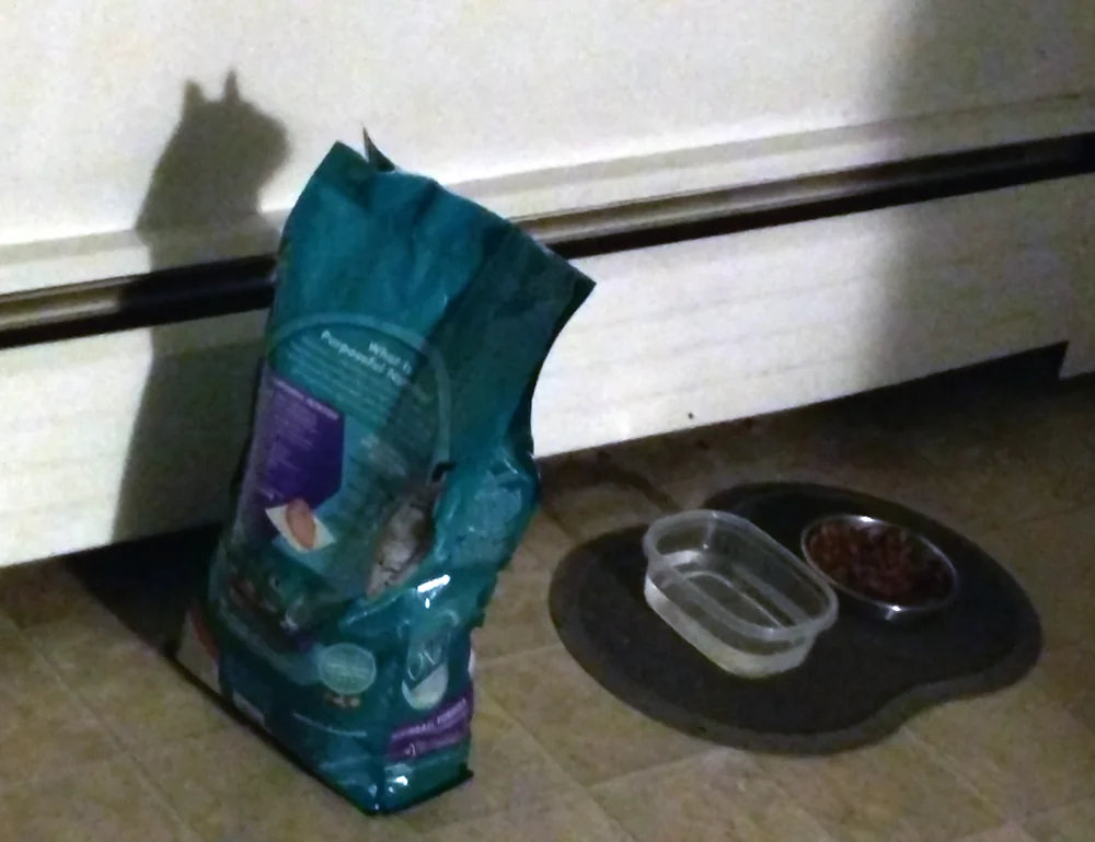 A shadow of a cat's head is cast on a wall behind a bag of cat food. Next to the bag are a bowl of water and a bowl of dry cat food on a mat.