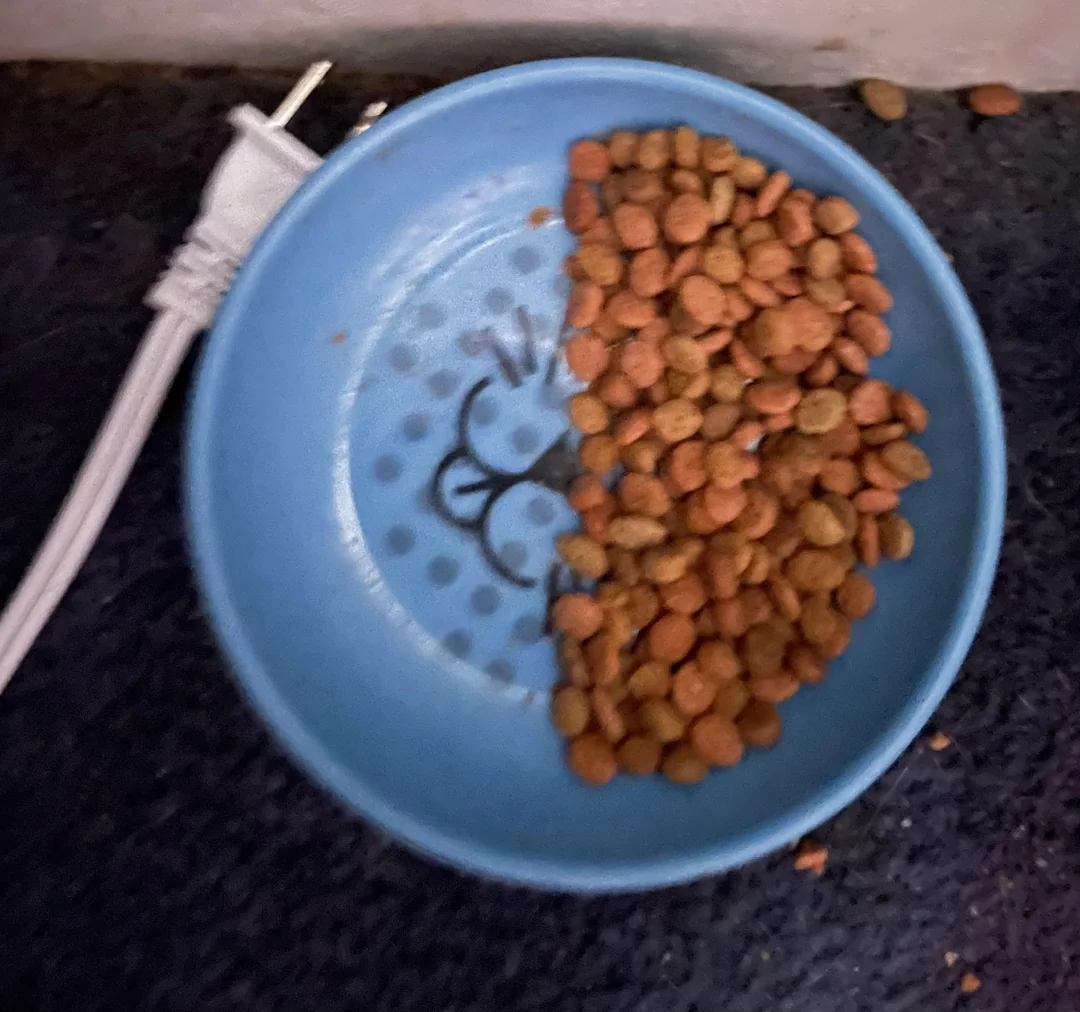 A blue bowl with a cartoon cat face, half-filled with brown cat kibble, sits on a dark surface next to a white power plug.