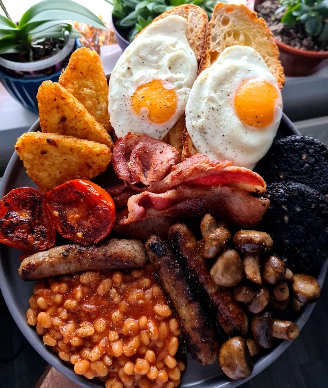 A full English breakfast with fried eggs on toast, hash browns, tomatoes, bacon, sausages, baked beans, mushrooms, and black pudding on a plate, plants in the background.