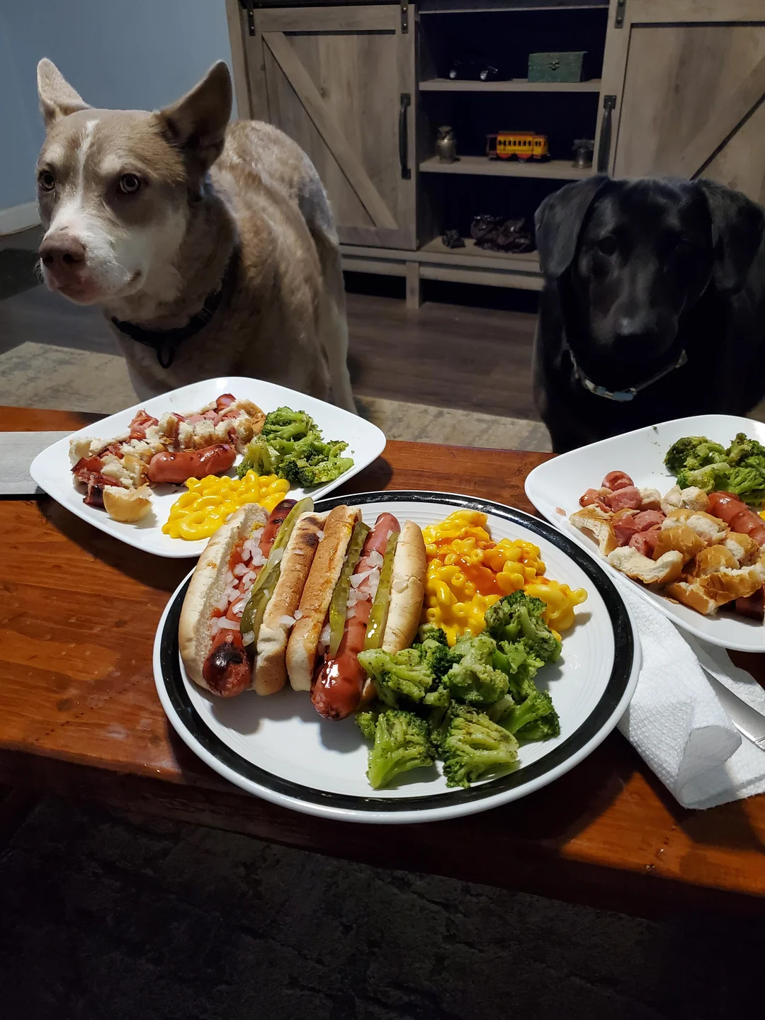 Hot dog photos. Two dogs sit near a table with plates of food including hot dogs, macaroni and cheese, broccoli, casserole, and a napkin. A TV stand with shelves and a toy bus is in the background.