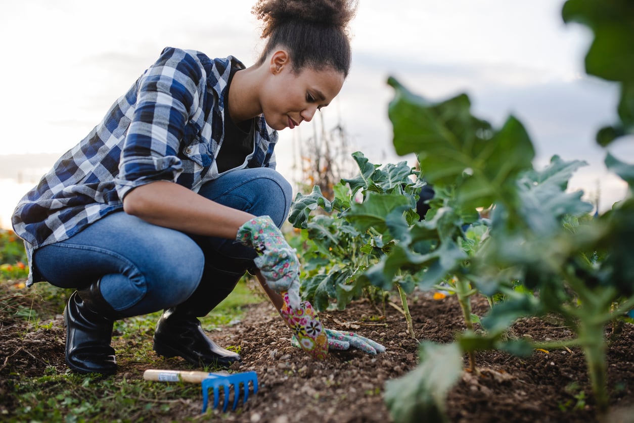 A woman wearing gloves and a plaid shirt tends to plants in a vegetable garden, crouching down to pull weeds or check the soil. Unlike expensive hobbies, gardening is an accessible and rewarding way to spend time outdoors, with tools visible nearby indicating her dedication to nurturing the plants.