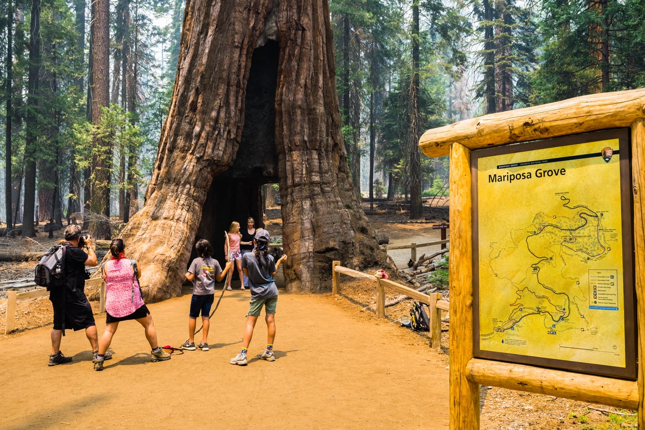 A group of people take photos near the base of a giant sequoia tree in Mariposa Grove, Yosemite. A park map is displayed on a wooden sign in the foreground, reminding visitors that memberships worth paying for can help support and preserve these breathtaking natural wonders.