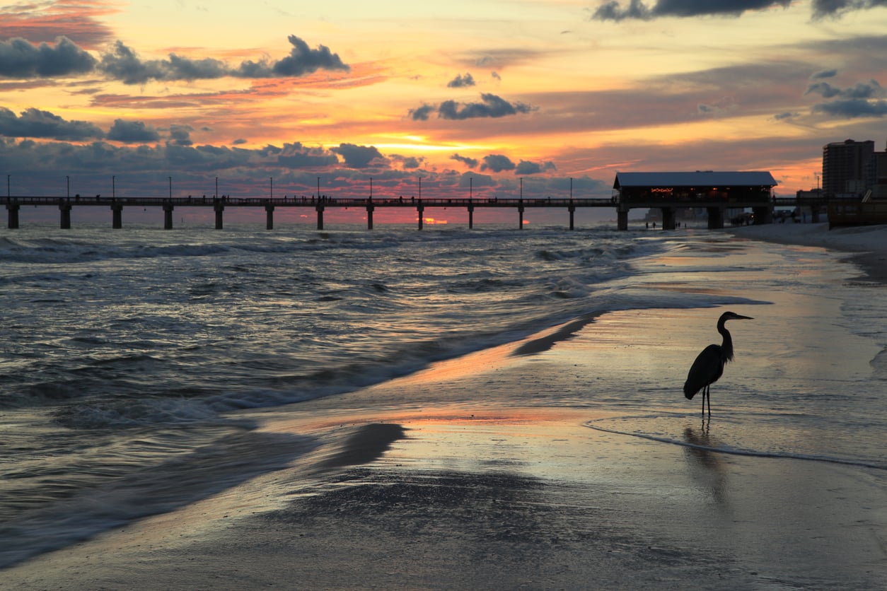 A silhouette of a heron stands on a wet beach at sunset, with ocean waves, a pier, and colorful clouds in the background.