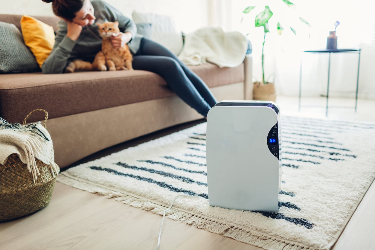 A white air purifier sits on a striped rug in a living room. In the background, a woman pets an orange cat while sitting on a brown sofa. A potted plant stands near a window.