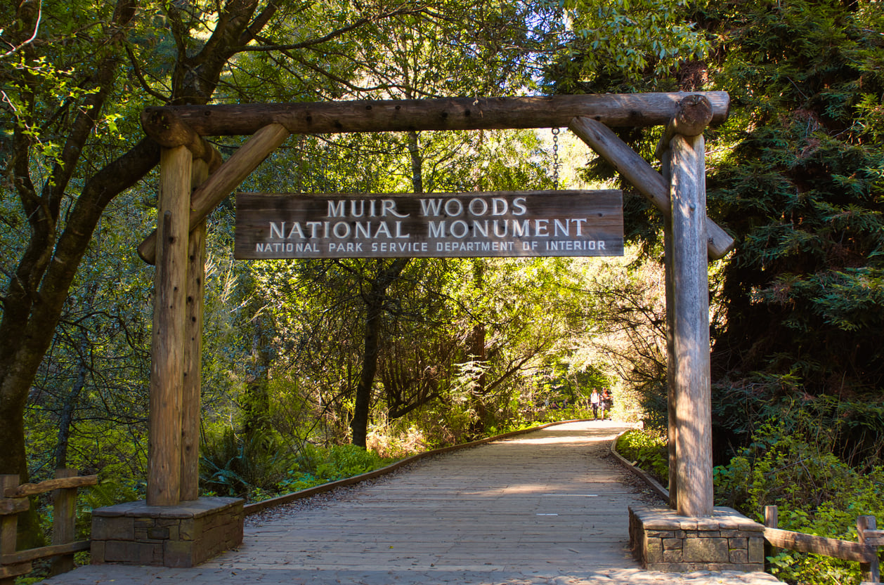 A wooden sign reading "Muir Woods National Monument" stands over a shaded path surrounded by tall trees, with sunlight filtering through the forest canopy—one of the most iconic travel destinations on the West Coast.