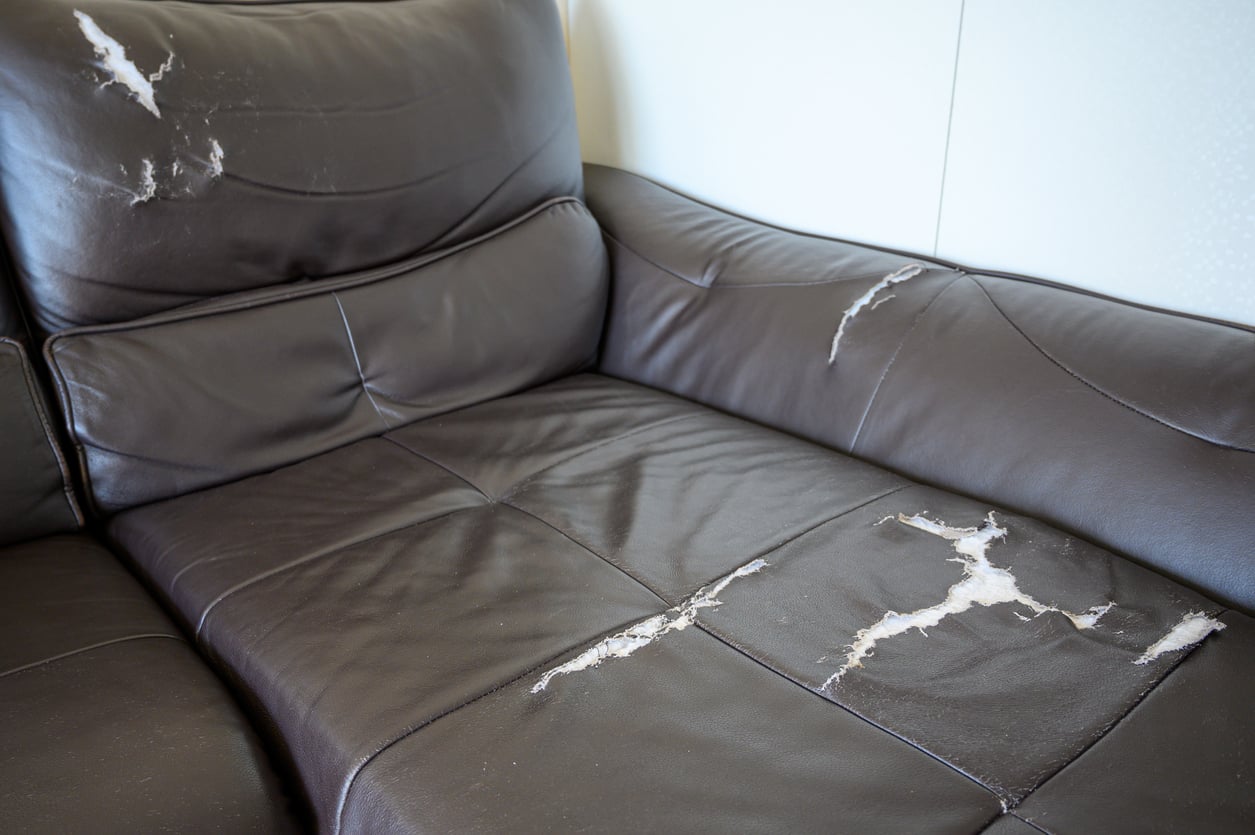 A close-up of a dark brown leather sofa with multiple areas of peeling and torn material, exposing the lighter layer underneath—a clear example of products that don't last, with damage visible on the seat, backrest, and armrest.