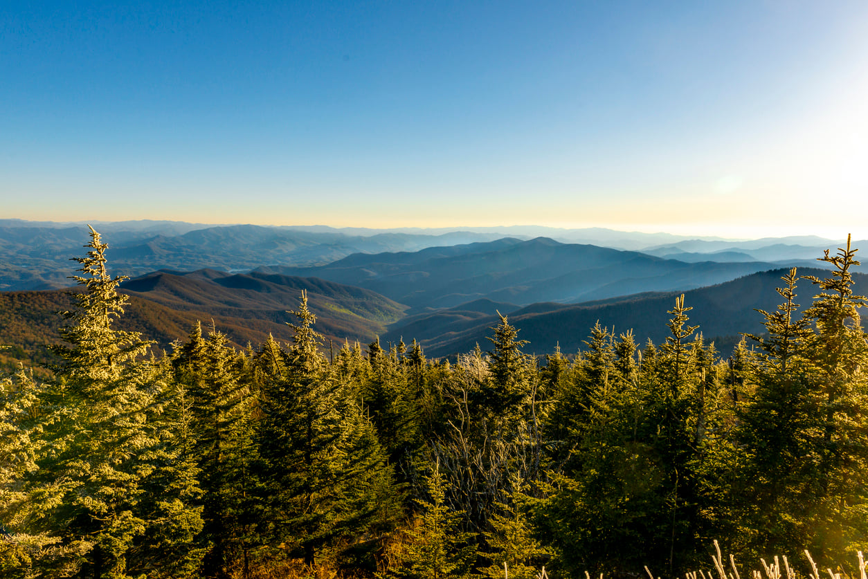 Evergreen trees in the foreground with sunlit mountain ridges and valleys extending into the distance under a clear blue sky, capturing the serene beauty of the East Coast landscape.