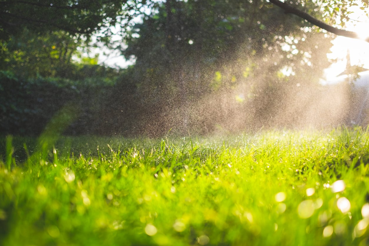 Sunlight streams through tree branches onto a lush green lawn, creating a bright, serene atmosphere. Water droplets or mist float in the air, illuminated by the sunlight.