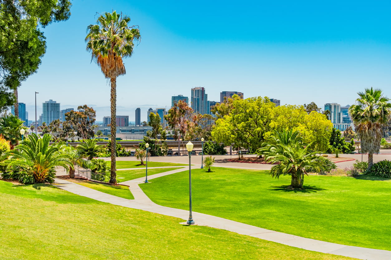 A sunny city park with green lawns, palm trees, and walking paths, set against the backdrop of a modern city skyline under a clear blue sky.