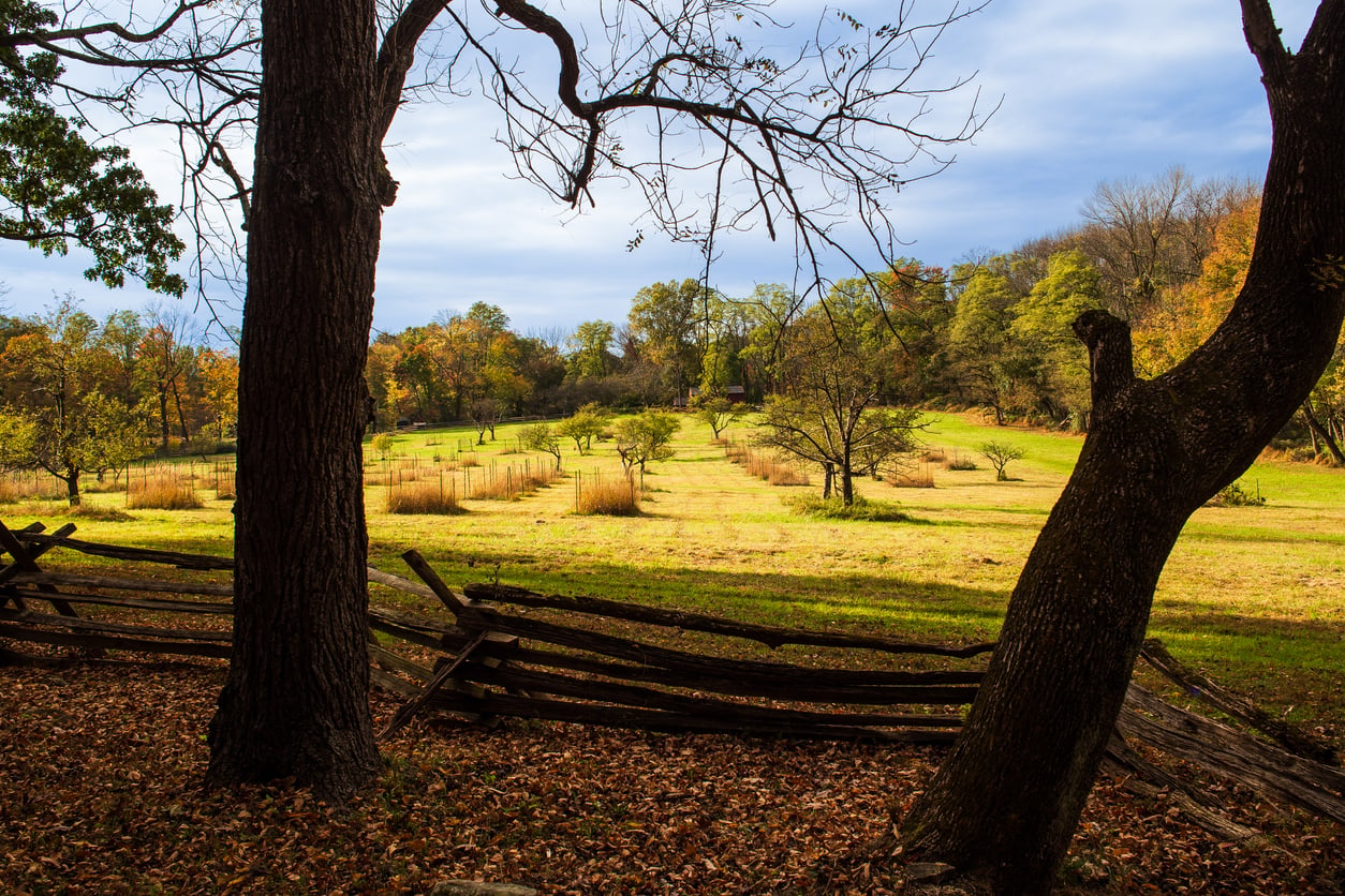 View of a sunny East Coast autumn field with scattered trees and tall grass, seen through two large trees and a rustic wooden fence in the foreground, under a partly cloudy sky.