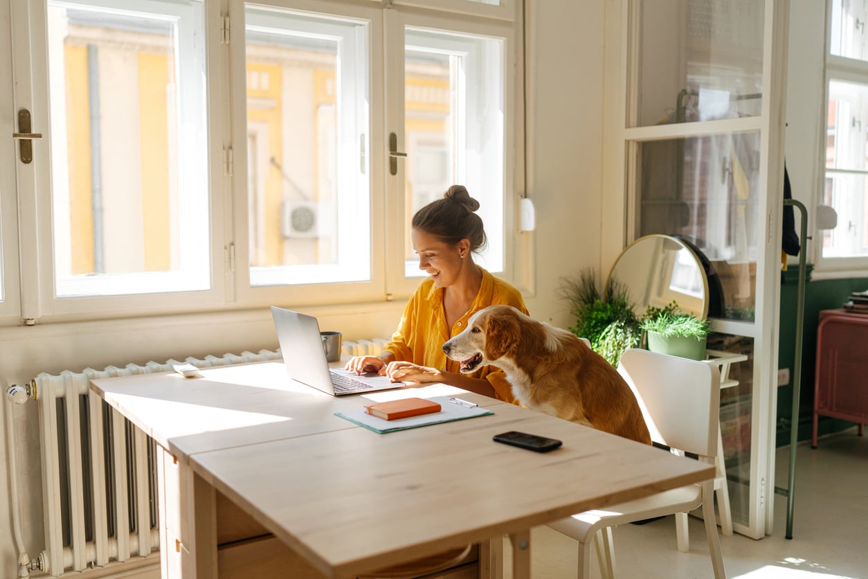 A woman sits at a table working on a laptop with her dog beside her, both looking at the screen, in a bright room with large windows and plants—a scene that quietly reflects Baby Boomer beliefs in hard work and companionship.