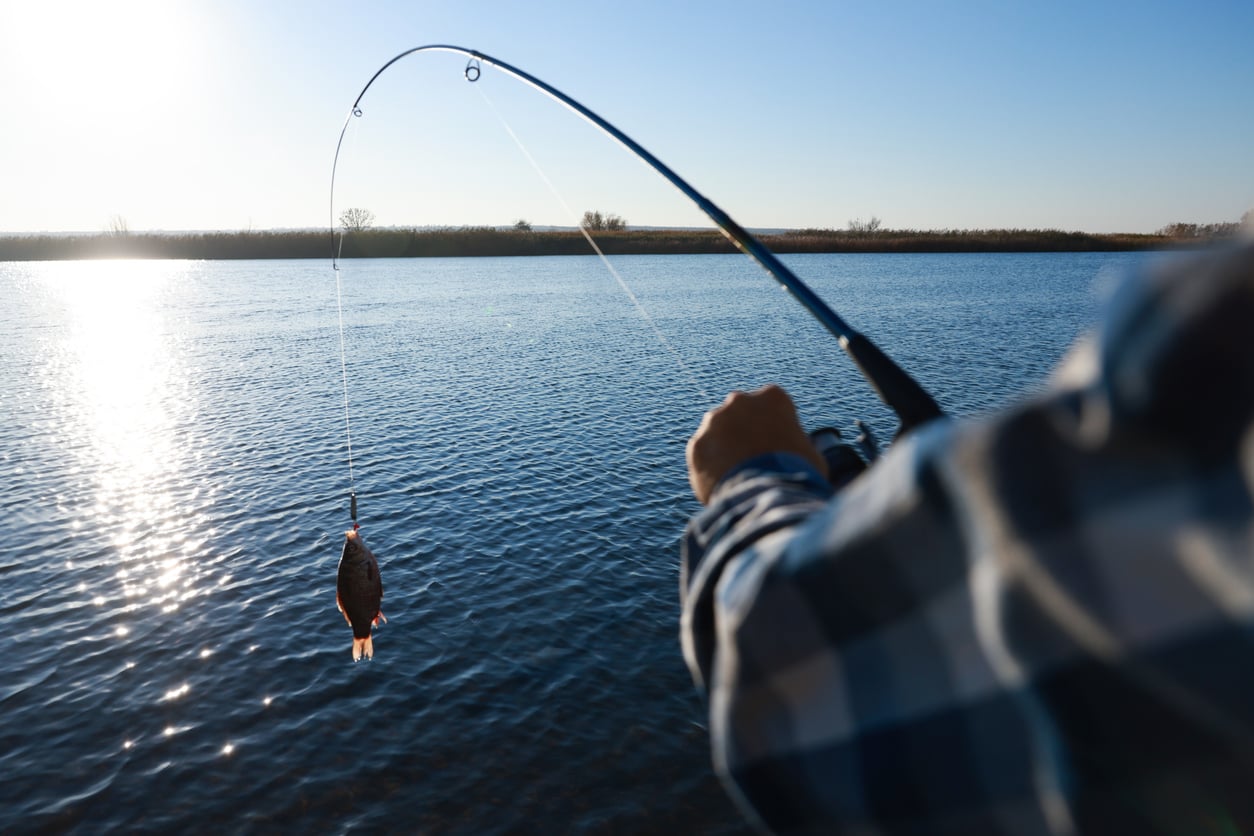 A person wearing a plaid shirt reels in a small fish from a calm lake with a fishing rod, enjoying one of life’s more expensive hobbies. The sun is low, reflecting off the water, and there is a distant shoreline visible under a clear blue sky.