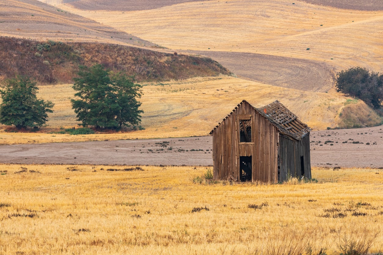An old, weathered wooden shed stands alone in a golden, rolling field with gentle hills and sparse green trees in the background—capturing the tranquil charm found in some of the most picturesque travel destinations on the West Coast.