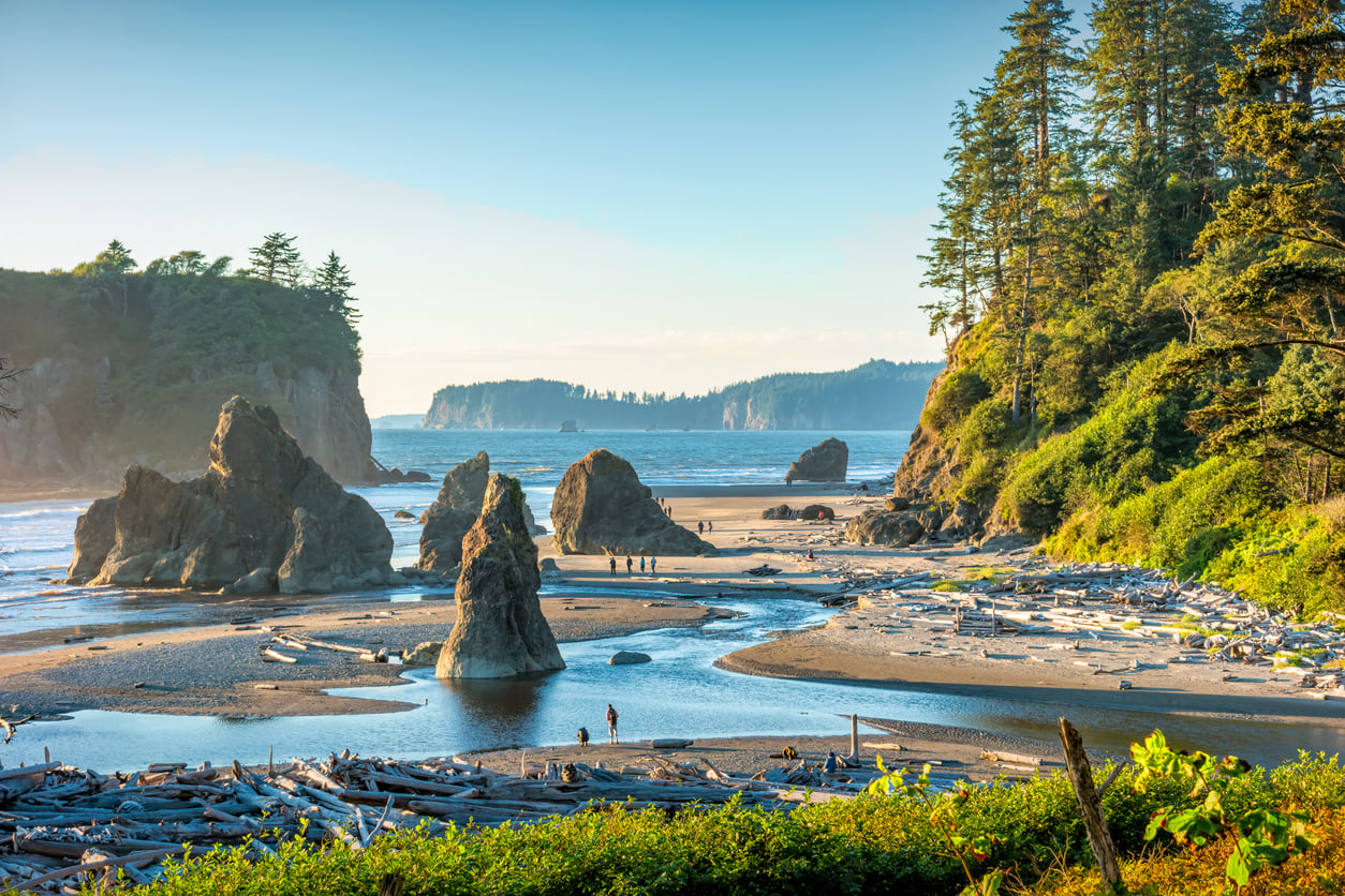 People walk along a beach with large sea stacks, driftwood, and a forested cliff under a clear sky. The waves of the ocean meet the sandy shore, with distant rocky islets visible on the horizon—a picturesque scene that highlights why this area is one of the top travel destinations on the West Coast.