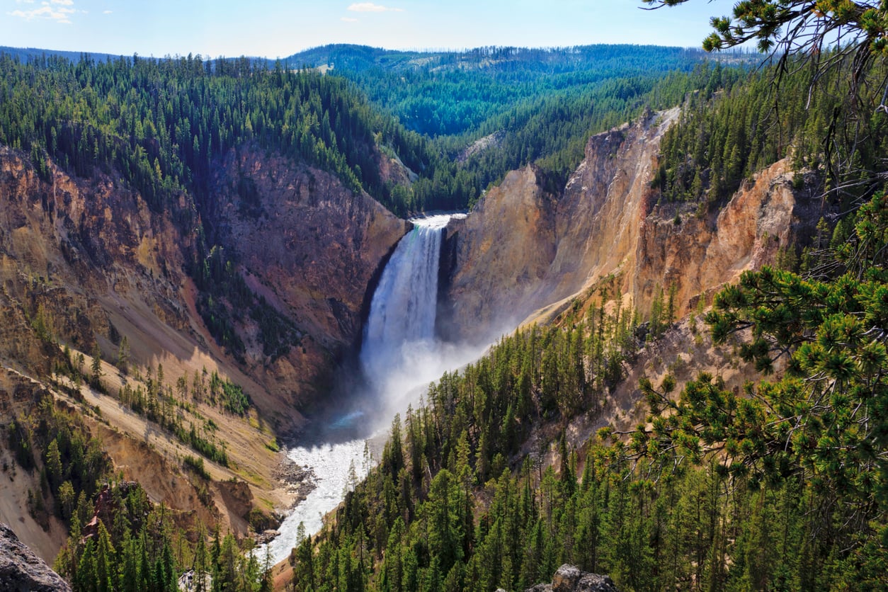A tall waterfall cascades into a rocky canyon surrounded by dense pine forests under a bright blue sky.