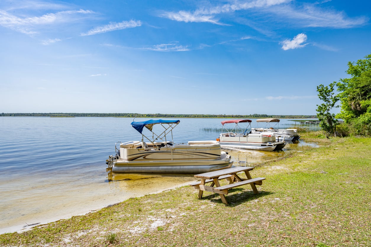 Three pontoon boats are docked near a grassy shore with a wooden picnic table under a clear blue sky by a calm lake.