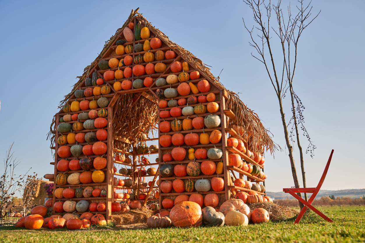 A small halloween house made of stacked pumpkins with a straw roof stands on grass. A red chair sits nearby, and the sky is clear and blue.