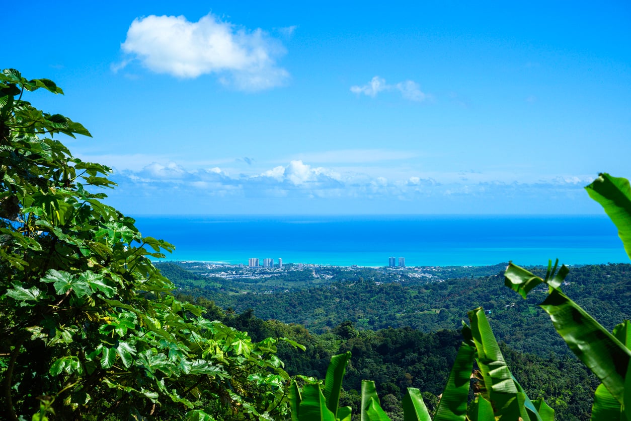 A lush green landscape with trees in the foreground overlooks one of the vibrant beach towns, revealing a coastal city with tall buildings, blue ocean, and a bright sky with scattered clouds.