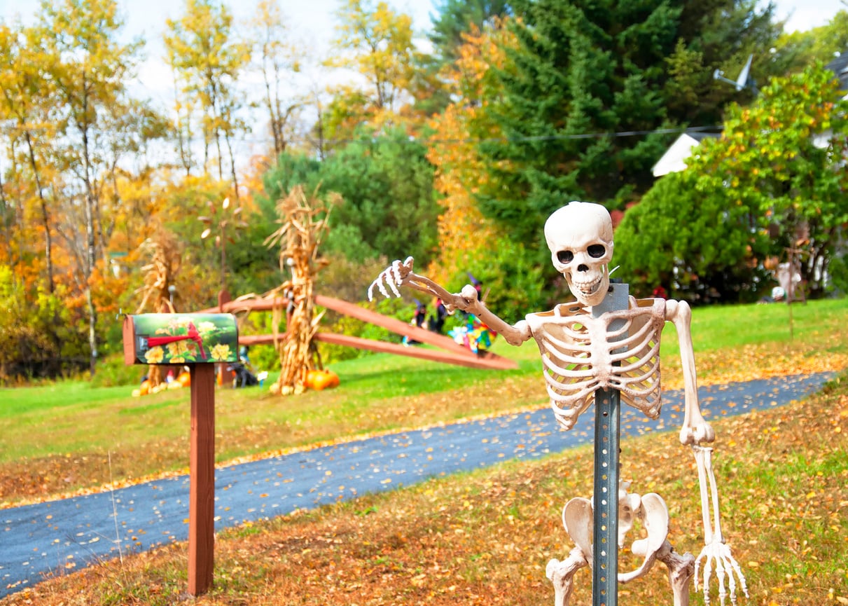 A plastic skeleton decorates a yard with autumn leaves, a path, and corn stalks in the background, creating a festive Halloween atmosphere. A mailbox with flowers is nearby, adding to the seasonal charm of the scene.