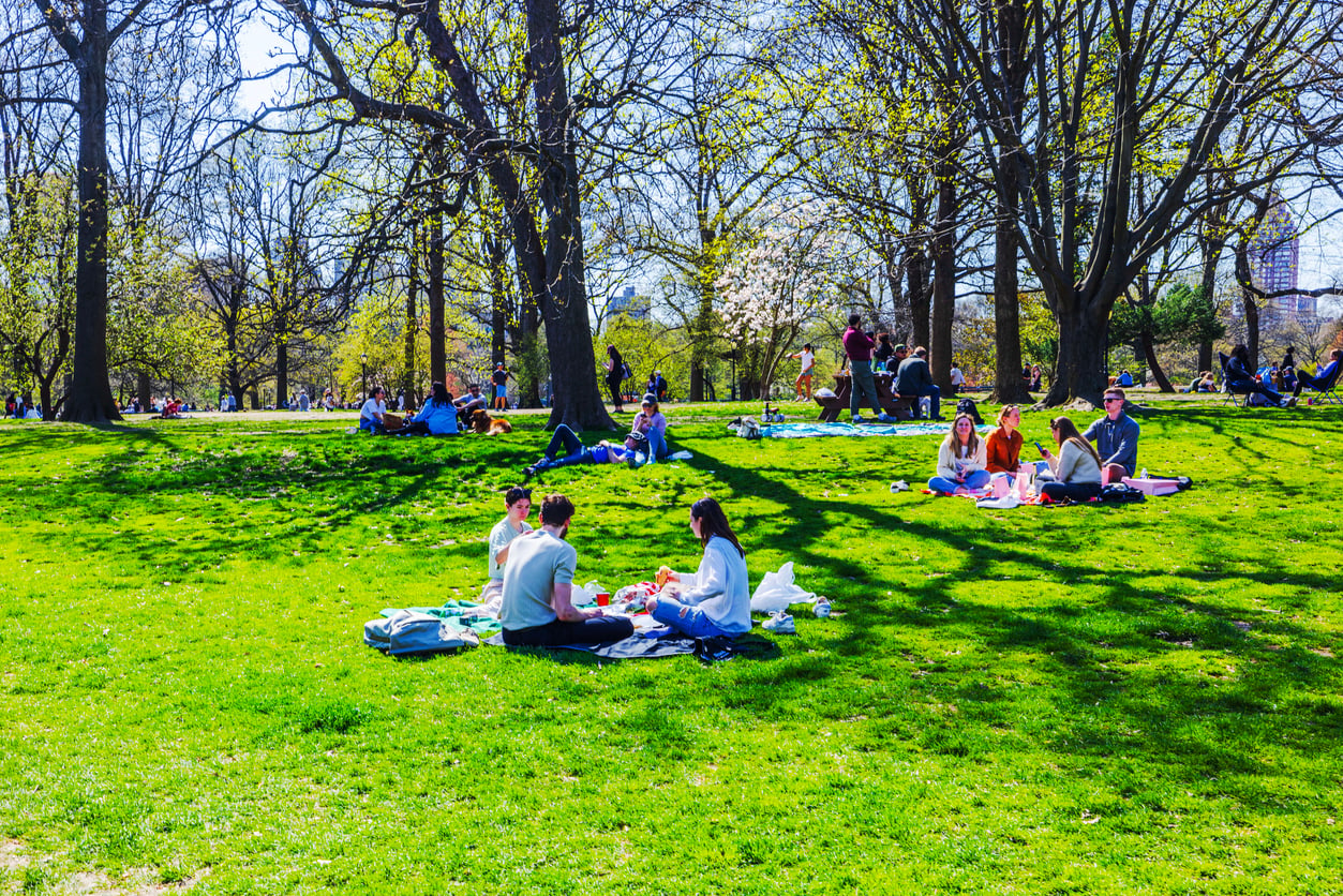 People sit on blankets having picnics in a sunny park with green grass and tall trees. Small groups are scattered throughout the area, relaxing and enjoying the outdoors on a clear day—some even chatting about their recent vacation swaps and sharing travel stories as they unwind.