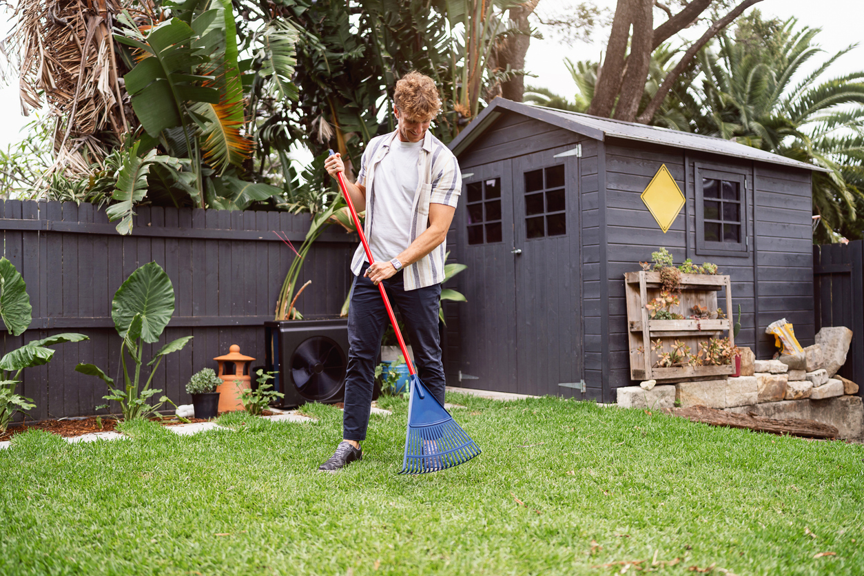 A person rakes green grass in a backyard with a gray shed, tall plants, and a small garden. The weather appears clear and bright.