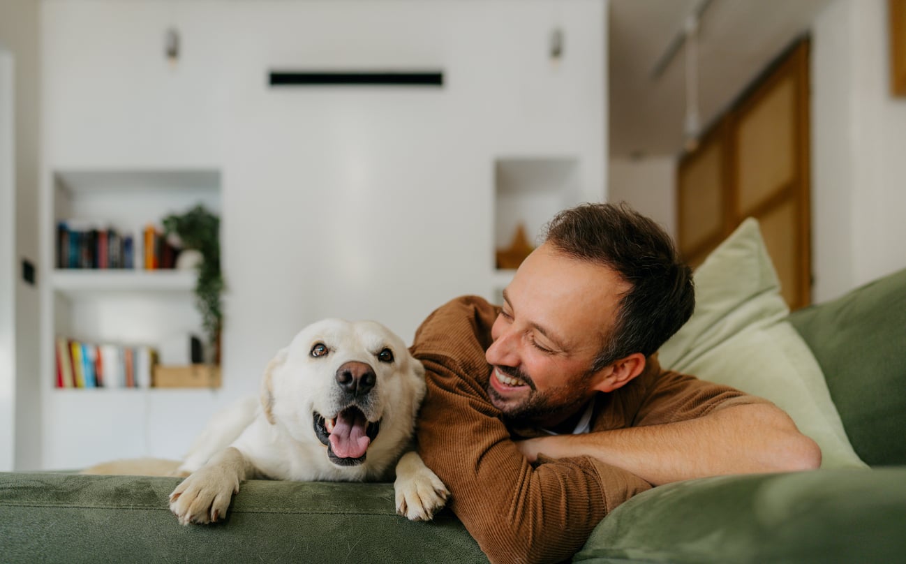 A man smiling and lounging on a green sofa next to a happy, panting yellow Labrador dog in a cozy living room with white walls and bookshelves in the background.