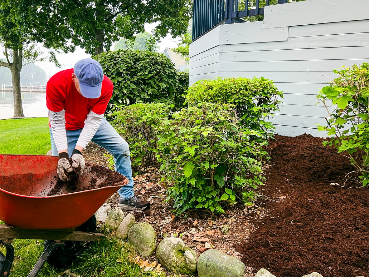 A person in a red shirt and blue cap uses gloved hands to spread mulch from a wheelbarrow onto a garden bed next to a house, surrounded by green shrubs and rocksācreating an updated landscape that avoids many of the home features homeowners no longer want.