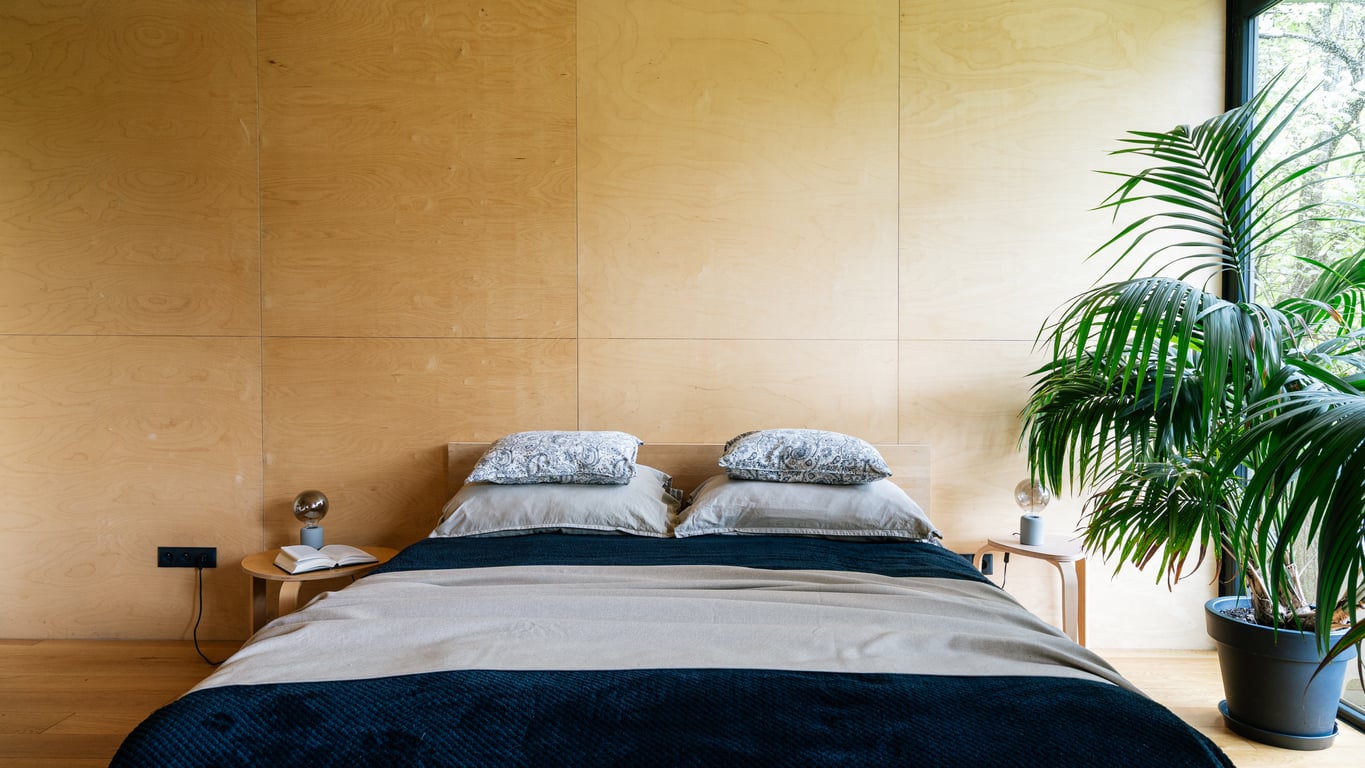 A modern bedroom with a double bed, two pillows, and a black and beige bedspread reflects stylish hotel changes. Small bedside tables with lamps and books are on each side, and a large green plant sits near the window on the right.