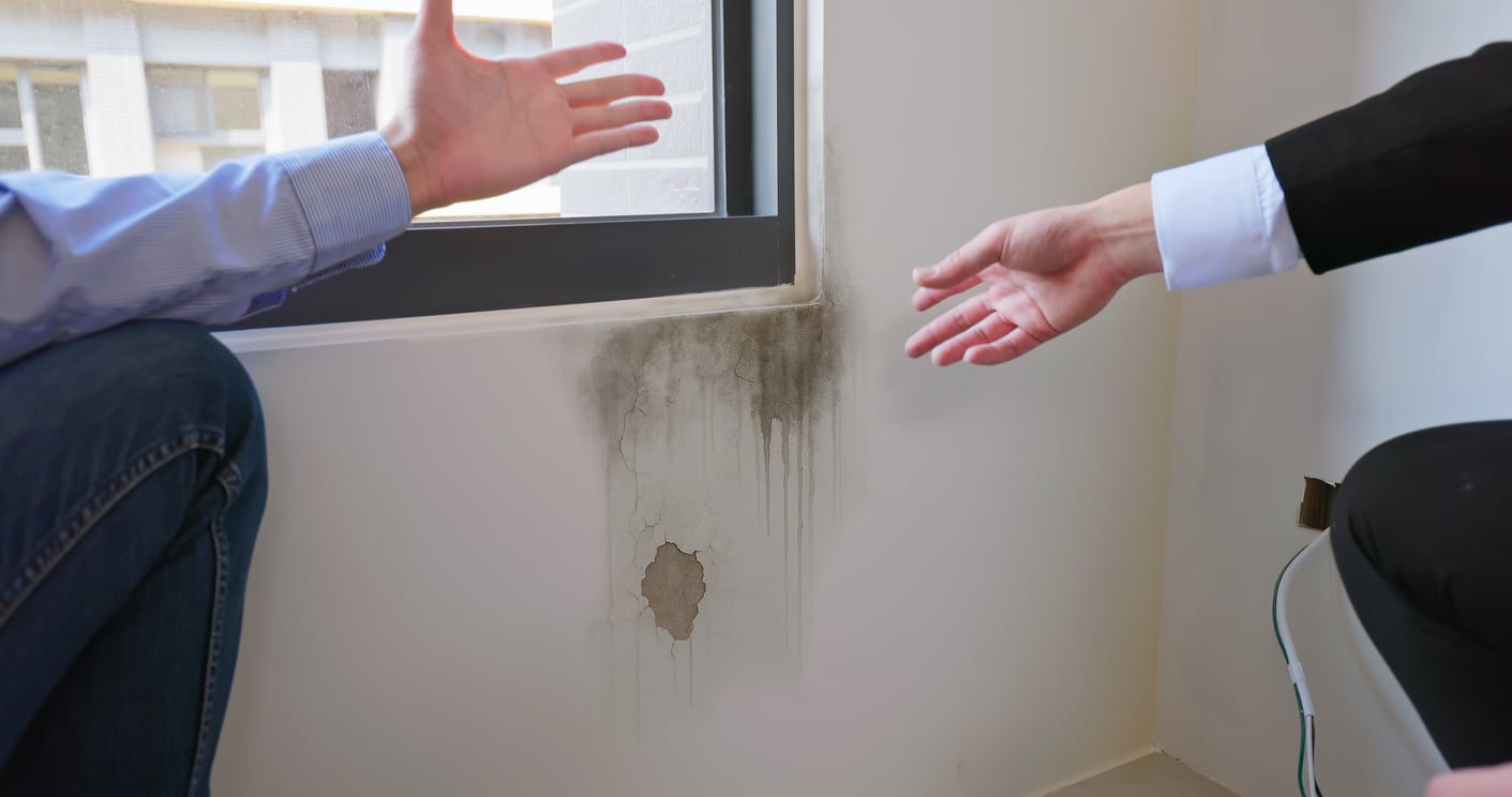 Two people gesturing toward a damaged wall with black mold and a hole beneath a window, highlighting water damage—reminding us that one of the benefits of renting is not being responsible for costly repairs like these.