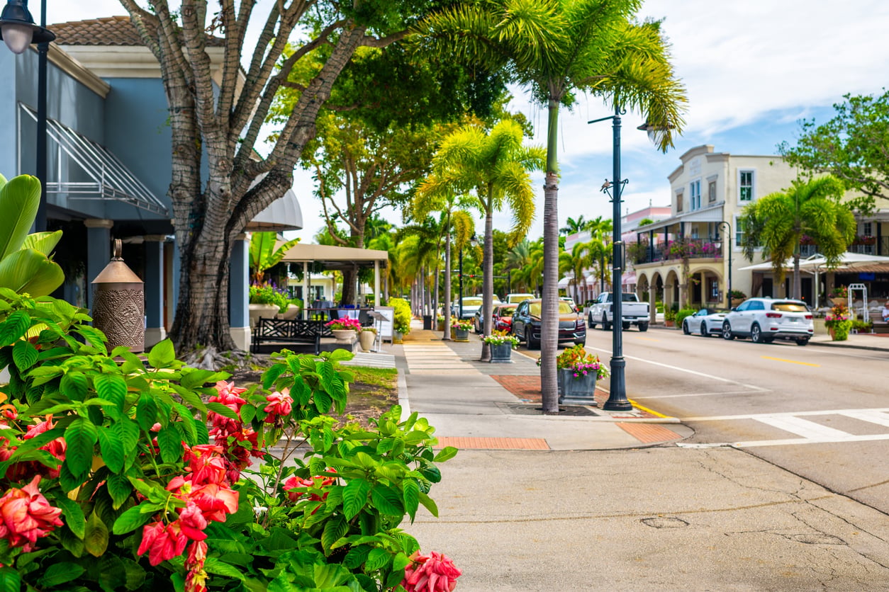 A sunny street lined with palm trees, colorful flowers, shops, and cars parked along the road. Buildings have balconies, and the scene feels bright and inviting—a perfect setting to explore local boutiques or put your hotel booking tips to good use in finding charming accommodations nearby.