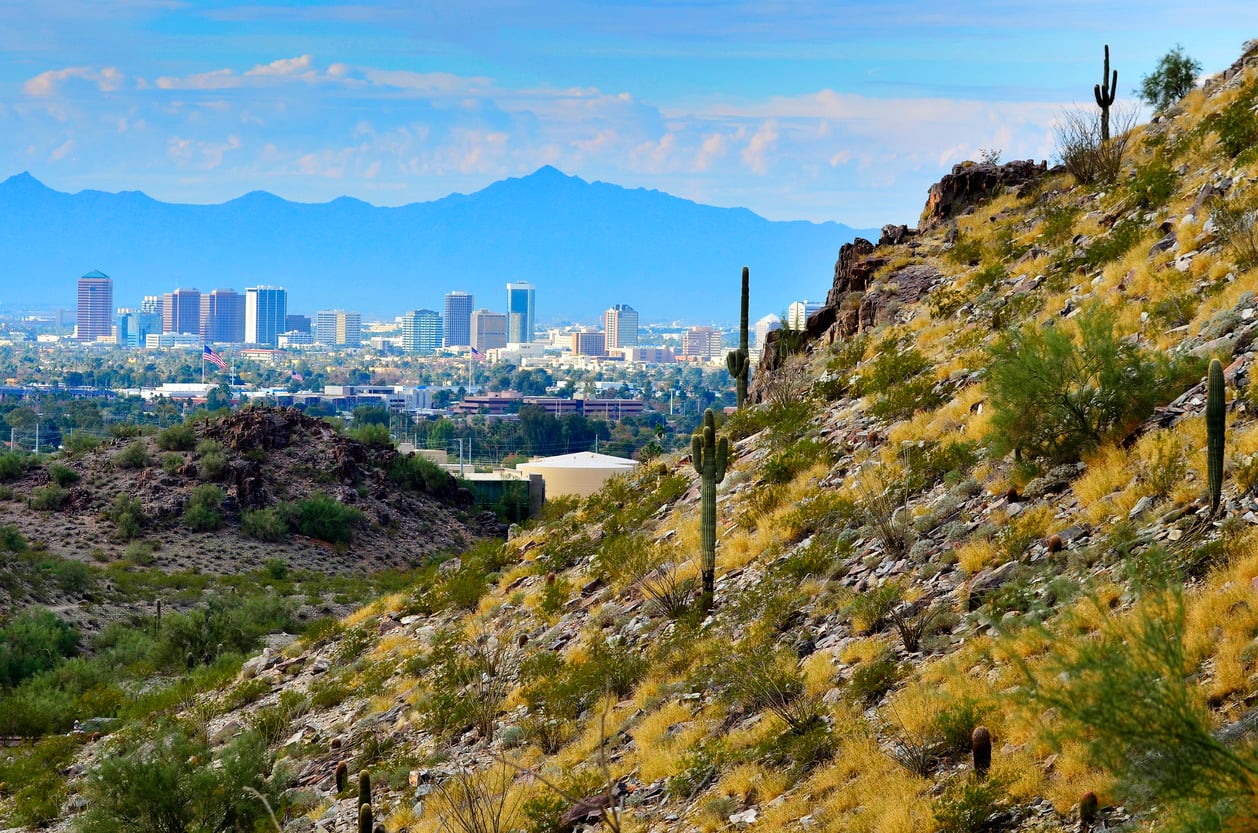 View of a city skyline with tall buildings, backed by mountains, seen from a rocky hillside with cacti and desert vegetation in the foreground under a partly cloudy sky—a striking scene reminiscent of big cities in America set against dramatic natural landscapes.