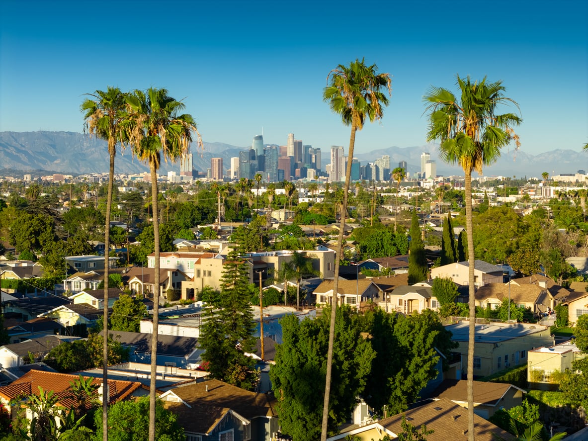 Panoramic view of Los Angeles with tall palm trees in the foreground, residential houses below, and downtown skyscrapers with mountains in the background under a clear blue sky.