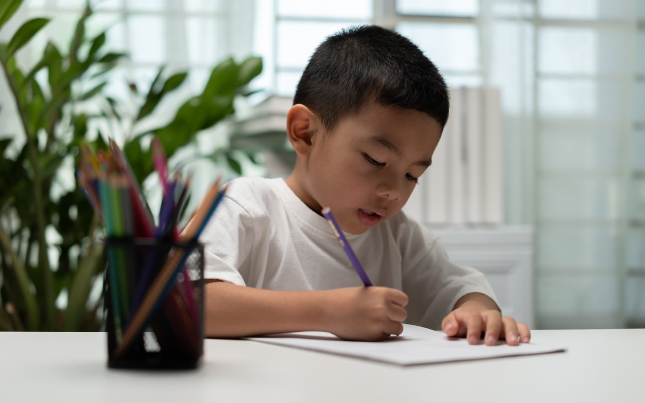 A young boy sits at a desk drawing on white paper with a purple pencil. A container of colored pencils is on the table. Bright, natural light and green plants are in the background.