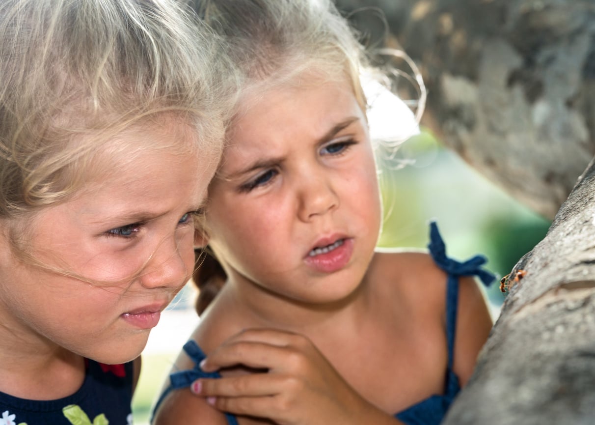 Two young girls closely observe a small insect on a tree branch, both appearing curious and slightly apprehensive. Sunlight filters through the leaves, illuminating their faces and the tree bark.
