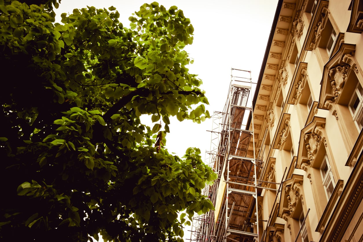 A leafy green tree stands beside a beige building with ornate details and visible scaffolding, suggesting construction or renovation work is in progress—a useful reminder for travelers to follow hotel booking tips and check for ongoing renovations before making reservations.