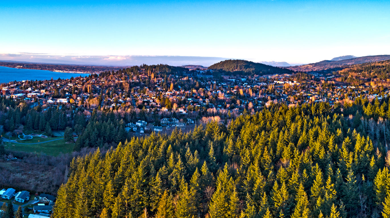 Aerial view of a city surrounded by dense evergreen forest, with houses scattered among trees, hills in the background, and a body of water visible on the left under a clear blue sky.