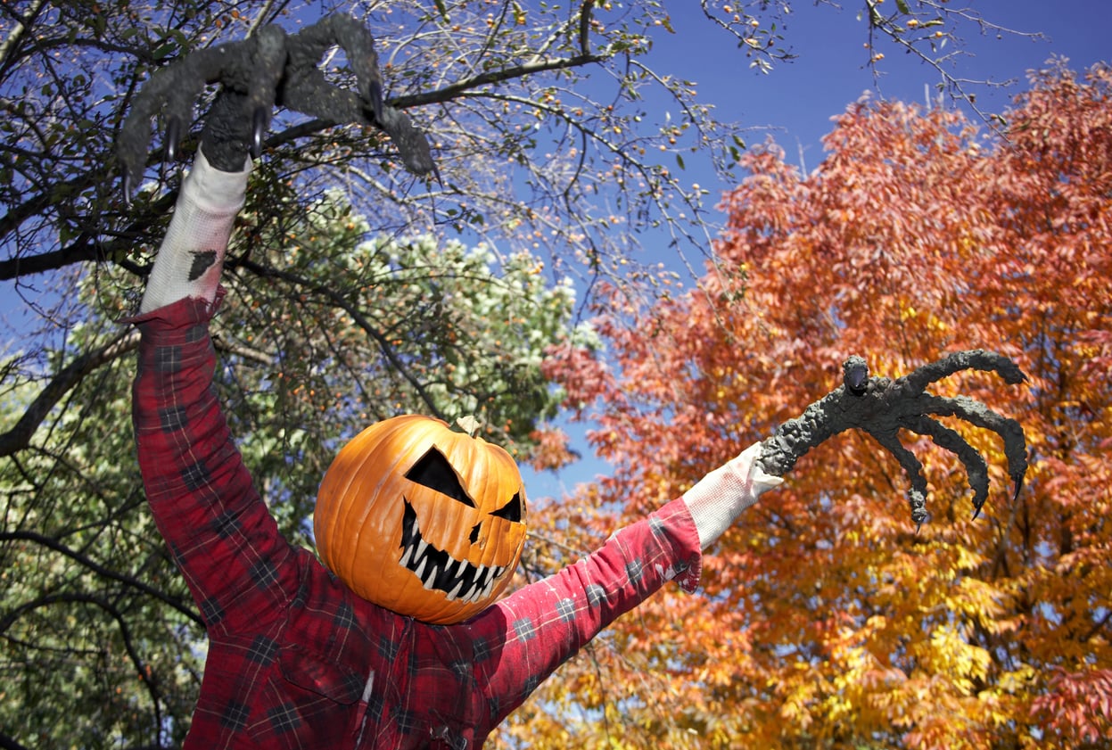 A Halloween scarecrow with a carved pumpkin head, sharp teeth, and long black claws wears a red plaid shirt. It stands among autumn trees with orange, yellow, and green leaves under a blue sky.