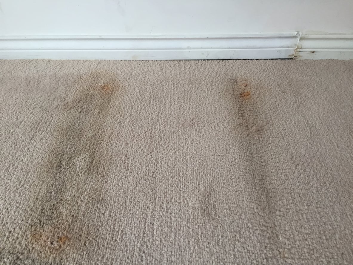 Beige carpet with visible dark stains and rust marks near a white baseboardāwhich has a discolored area on the right sideāhighlights one of the common home features homeowners no longer want.