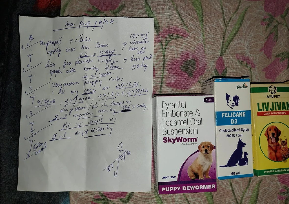 A handwritten veterinary prescription rests on a floral bedsheet beside three pet medicine boxes—SkyWorm puppy dewormer, Felicane D3 syrup, and Ayufet Livjian syrup, all featuring dogs—similar to those found at Walmart.