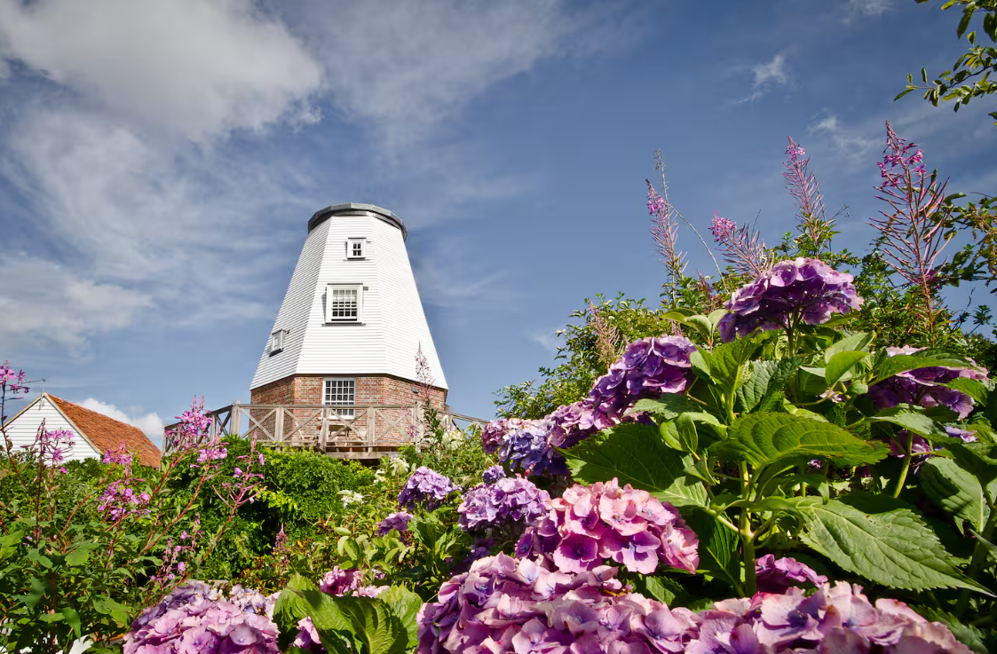 A white windmill stands behind vibrant purple hydrangeas, lush green foliage, and other blooming flowers under a bright blue, partly cloudy sky.
