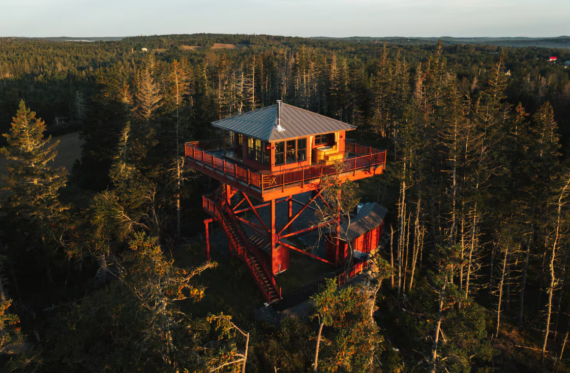 A red wooden fire lookout tower stands above dense green forest, surrounded by trees and bathed in warm sunlight.
