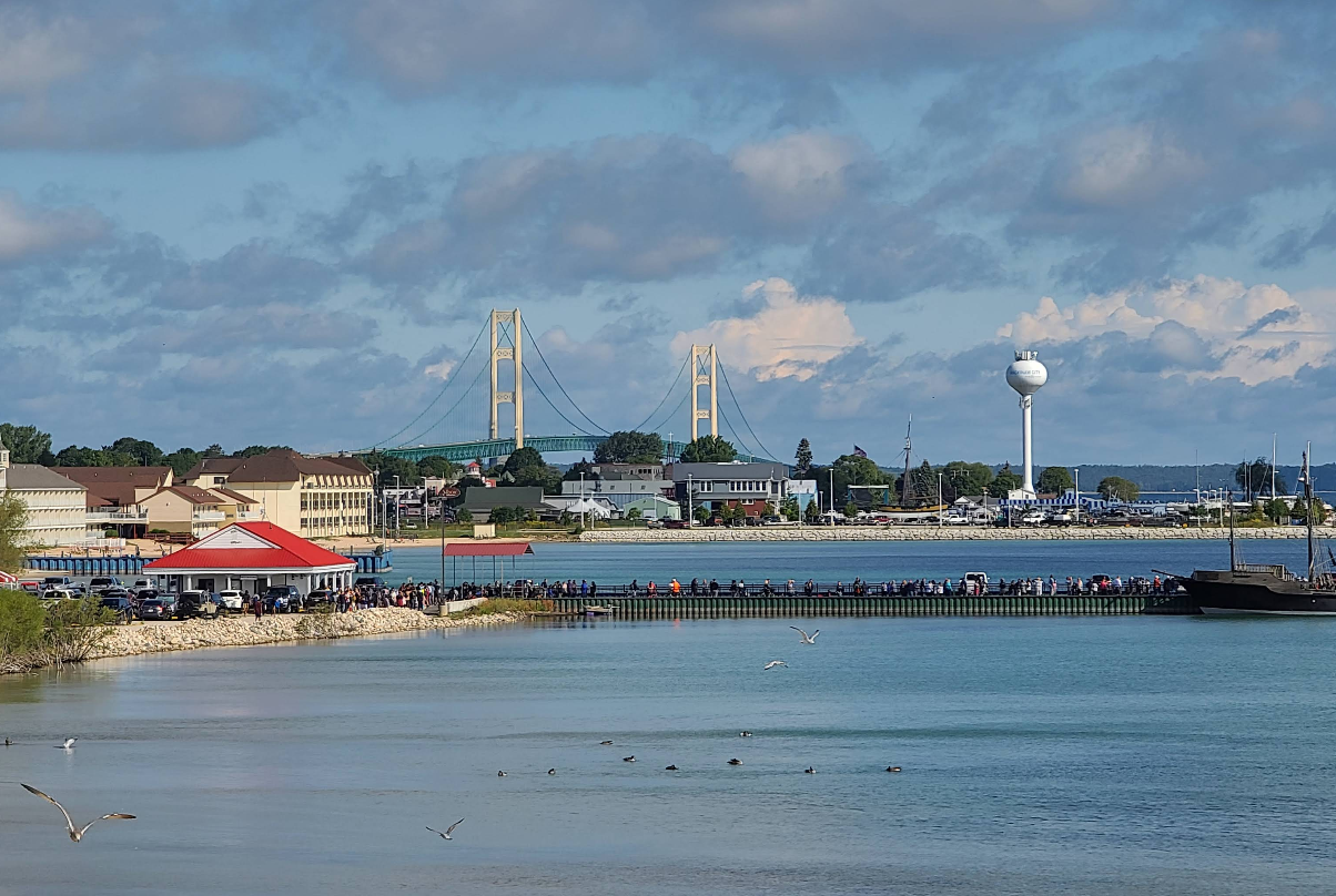 A view of a waterfront town with a bridge in the background, buildings along the shore, people walking on a pier, a water tower, and several seagulls flying over the water under a partly cloudy sky.