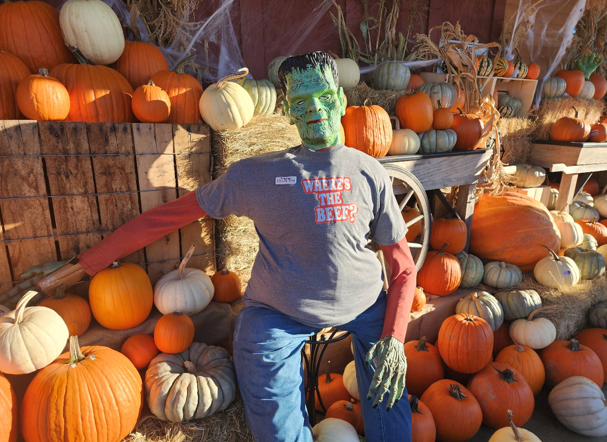 A person in a Frankenstein costume sits among various pumpkins and gourds, wearing a gray “Where’s the beef?” t-shirt, with autumn decorations and sunlight illuminating the scene—just the kind of festive spirit you’d find in one of the best trick or treat towns in America.