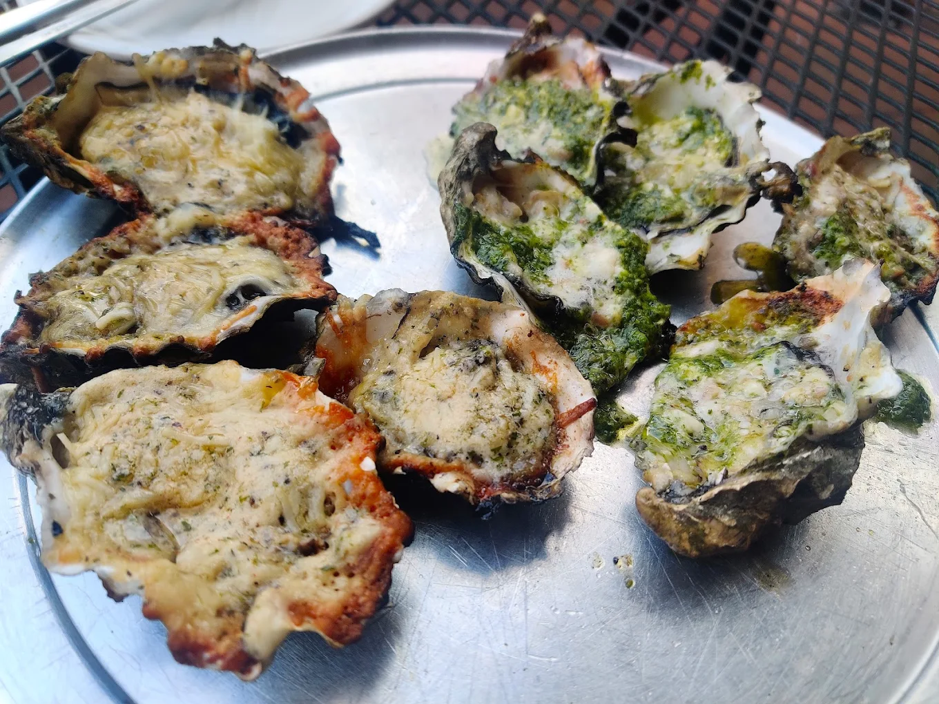 A close-up of a metal plate with baked oysters topped with melted cheese and herbs, some with a golden brown crust and others with green seasoning.